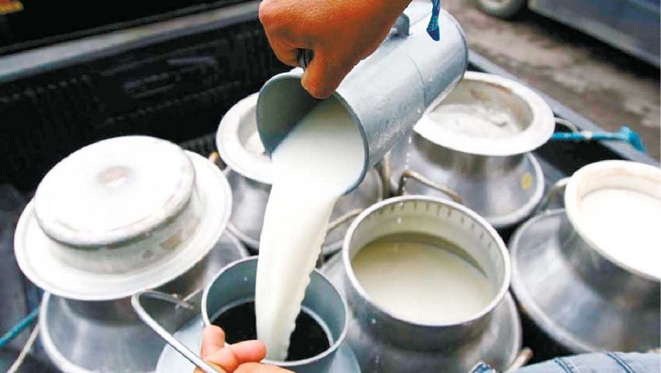 दूध उत्पादक किसानलाई पाँच करोड ५८ लाख अनुदान