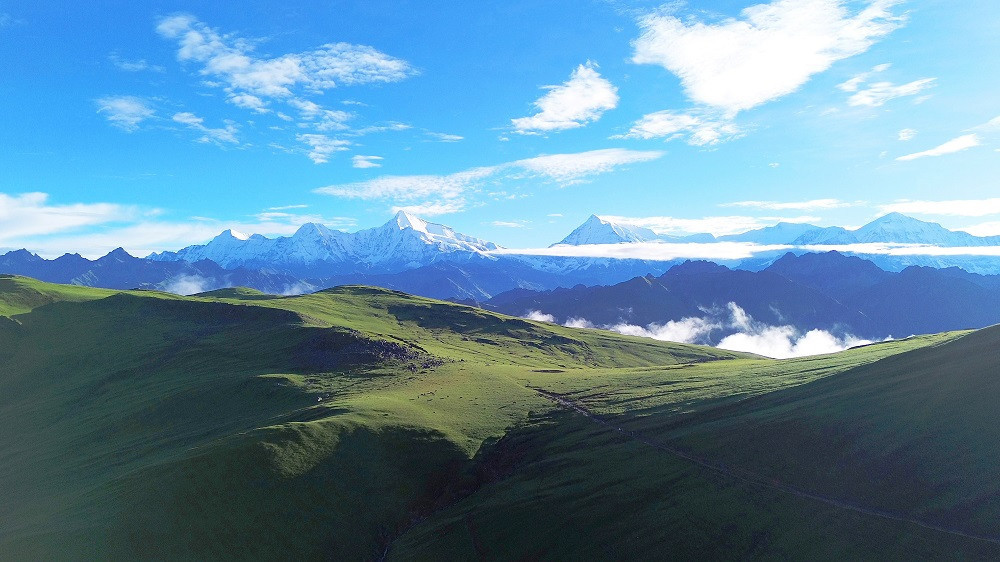 ढोरपाटन सिकार आरक्षमा ३७ हजार पर्यटक, ४७ लाख आम्दानी